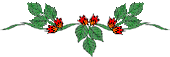 flowerp7
