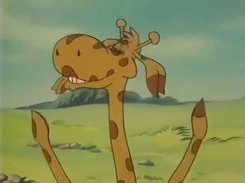 מיץ פטל דירה להשכיר הכינה נחמה